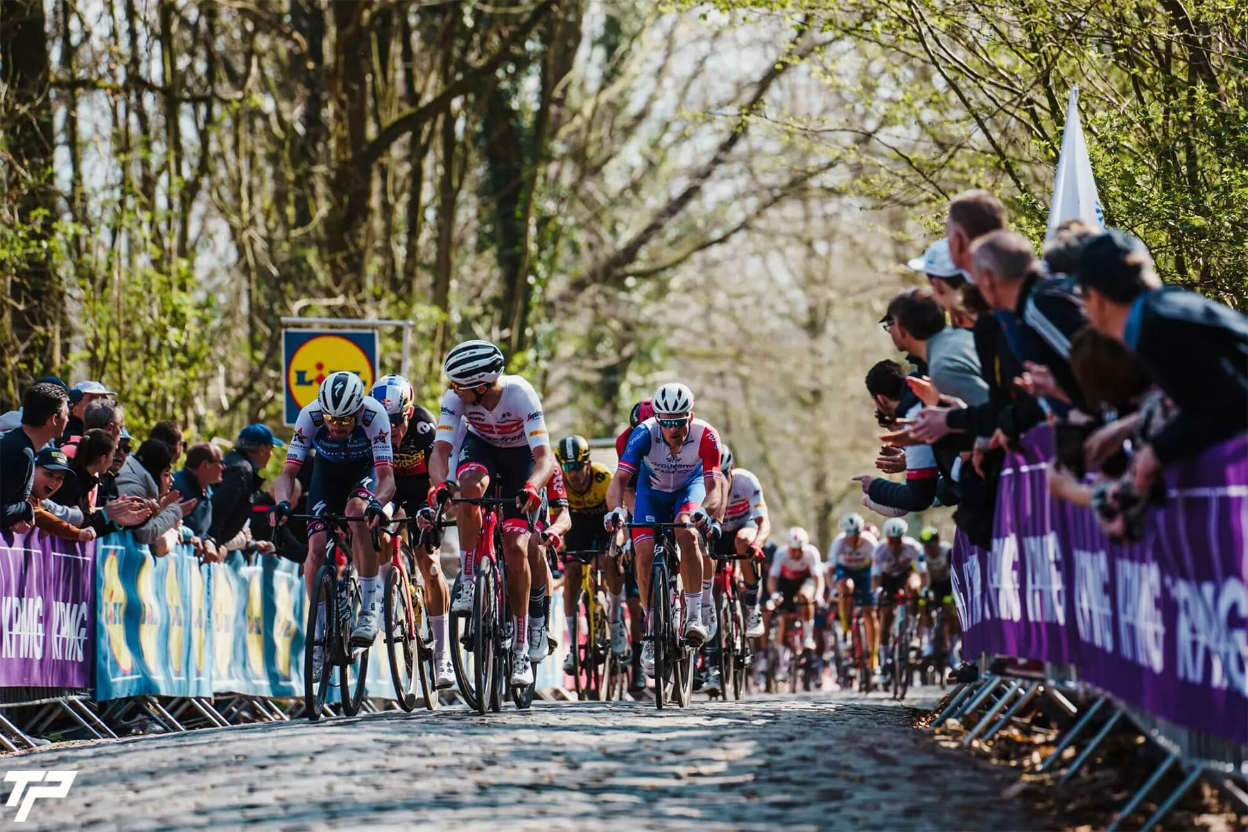 Gent–Wevelgem 2025: total dominance on the cobblestones